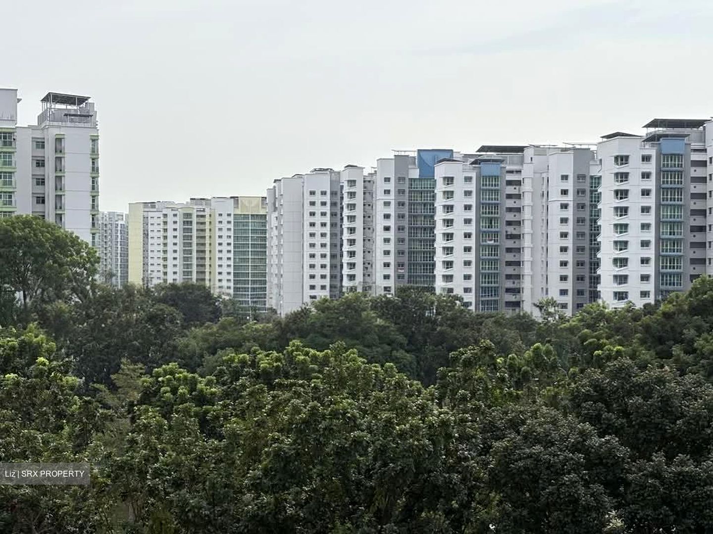 Blk 299A Compassvale Green (Sengkang), HDB 4 Rooms #604417721